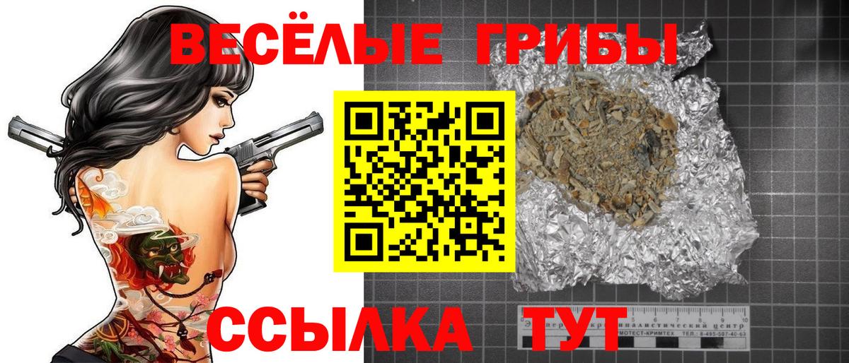 Галлюциногенные грибы Psilocybe  Вход с VPN  Губаха 
