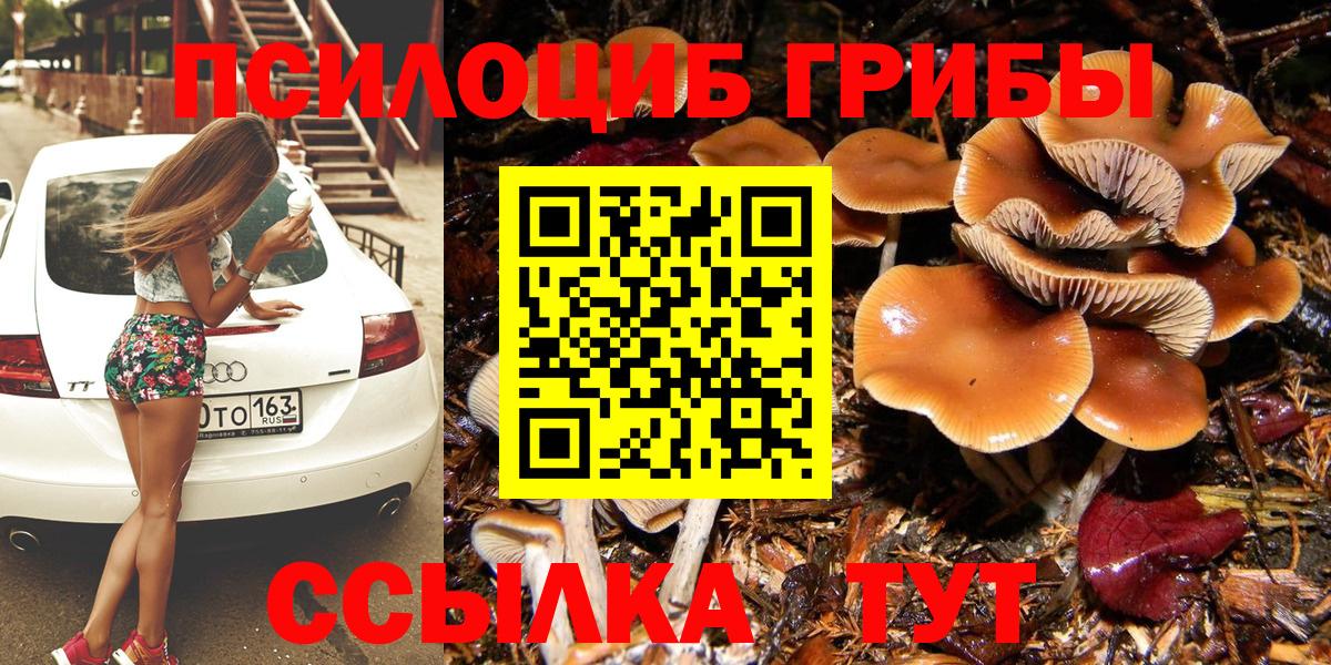 Галлюциногенные грибы мицелий Губаха