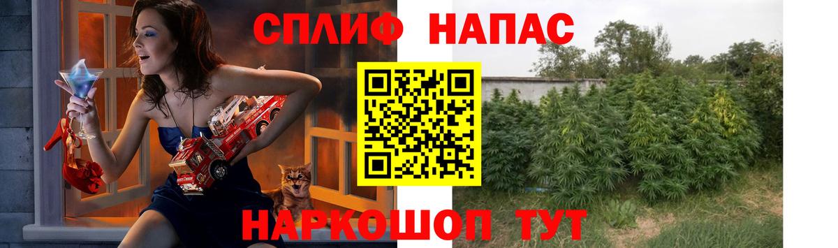 МАРИХУАНА VHQ  Шишки марихуана MAZAR  Вход с VPN  Конопля гибрид  Губаха 